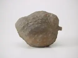 Cook Snap von kochcode-team