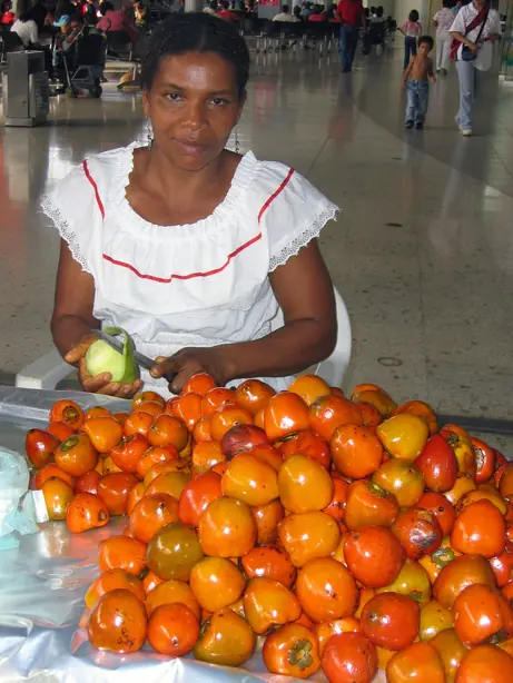 Cook Snap von kochcode-team