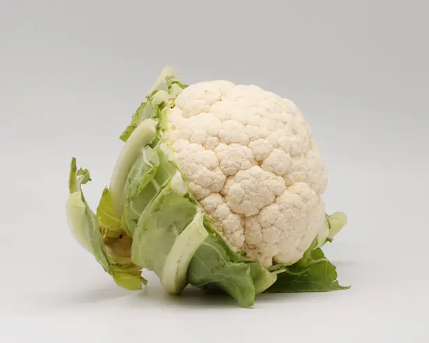 Cook Snap von kochcode-team