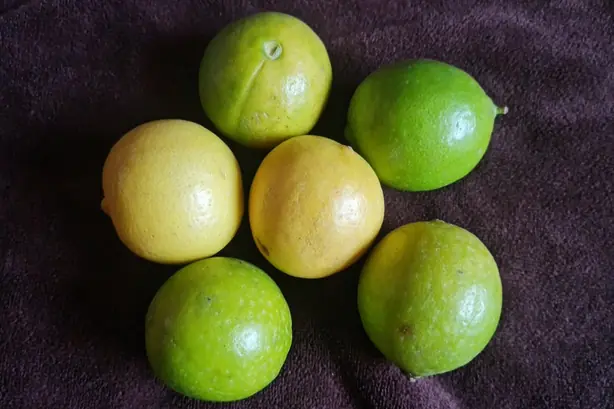 Cook Snap von kochcode-team