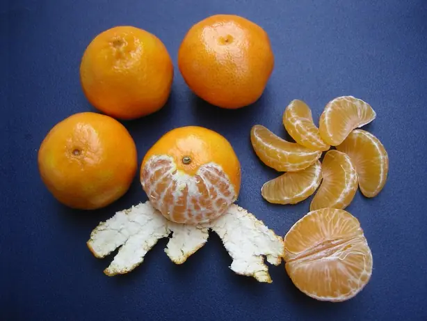 Cook Snap von kochcode-team