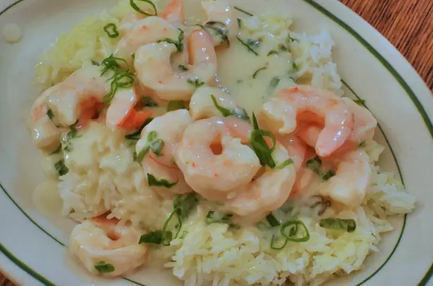 Cook Snap von kochcode-team