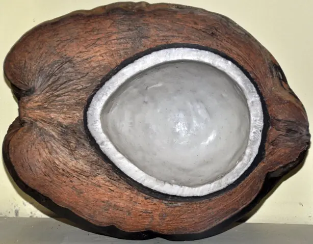 Cook Snap von kochcode-team