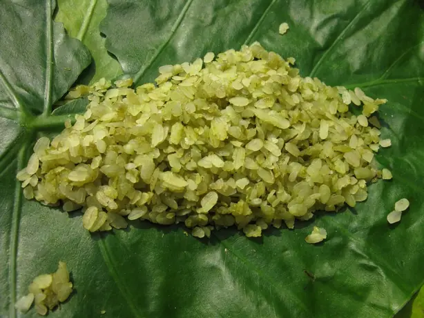 Cook Snap von kochcode-team