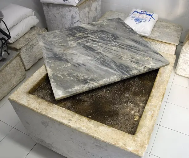 Cook Snap von kochcode-team