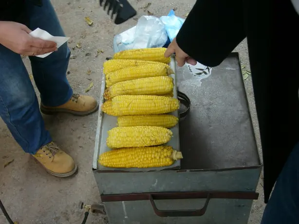 Cook Snap von kochcode-team