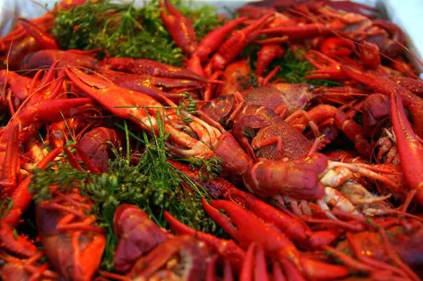 Foto von Schwedische Flusskrebse klassisch – fertig angerichtet