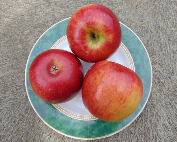 Foto von Gebackene Sundowner Äpfel klassisch – fertig angerichtet