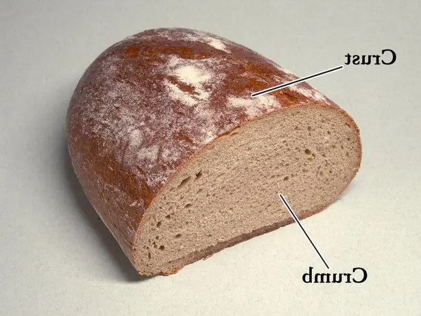 Cook Snap von kochcode-team