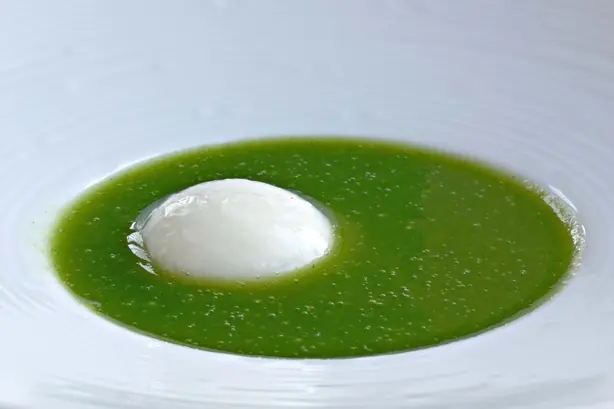 Foto von Polnische Salzgurkensuppe Zupa ogórkowa – fertig angerichtet