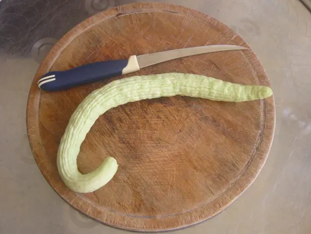 Cook Snap von kochcode-team