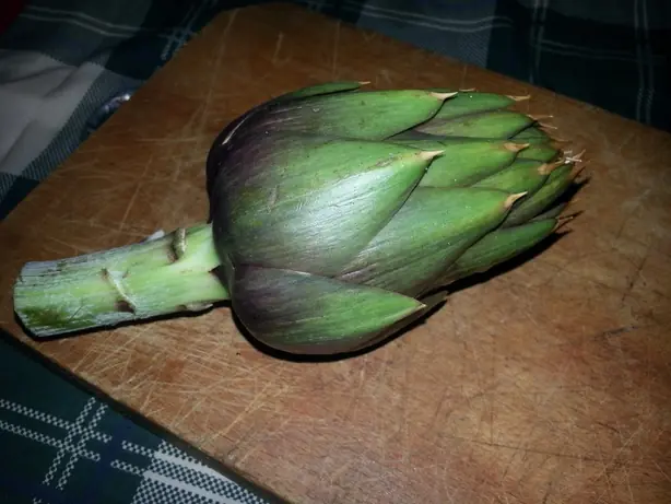 Cook Snap von kochcode-team