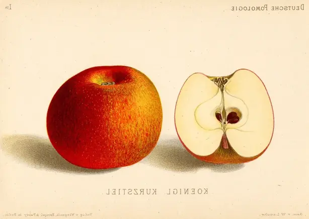 Foto von Klassischer Bratapfel Court Pendu Plat – fertig angerichtet