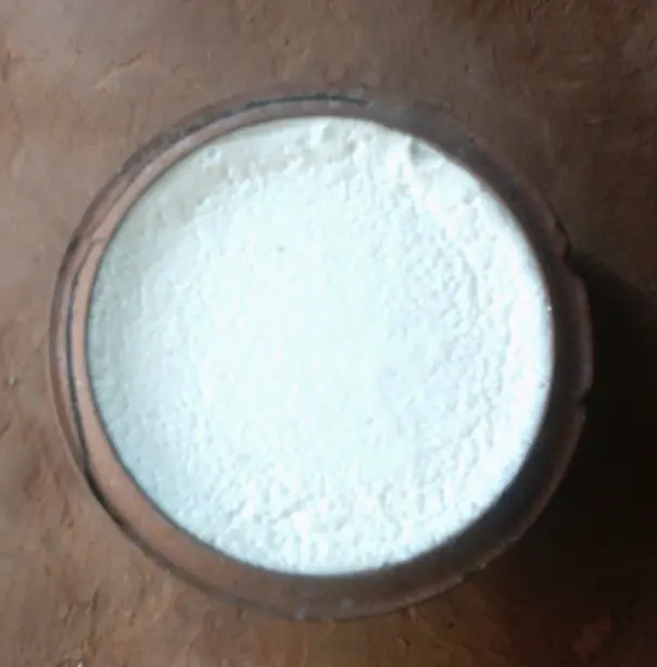 Foto von Nepalesischer Juju Dhau Joghurt – fertig angerichtet