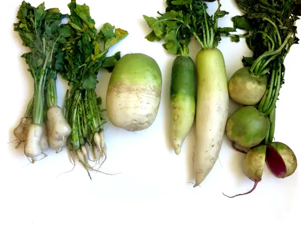 Cook Snap von kochcode-team