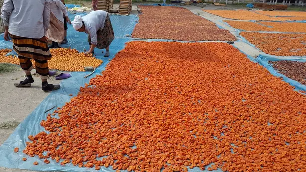 Cook Snap von kochcode-team