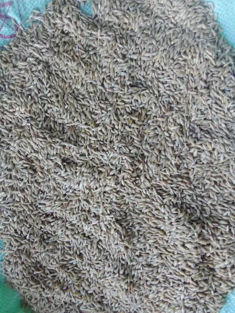 Foto von Traditioneller jüdischer Cholent mit Gerste – fertig angerichtet