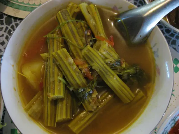 Cook Snap von kochcode-team