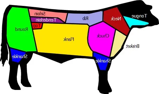 Cook Snap von kochcode-team