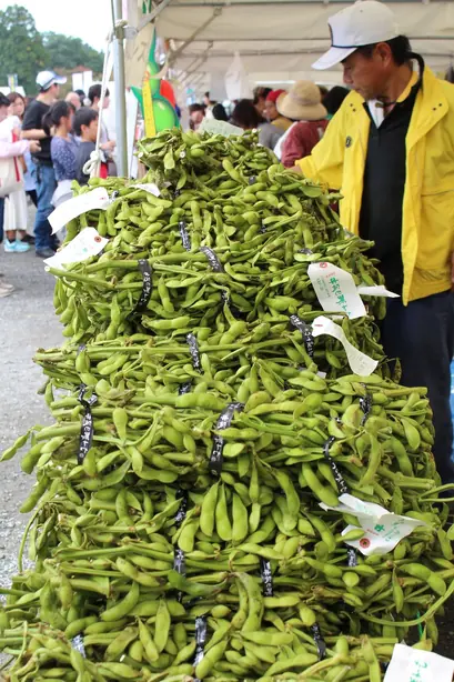 Edamame (37039111054) – Foto: H yamaguchi (CC BY 2.0)