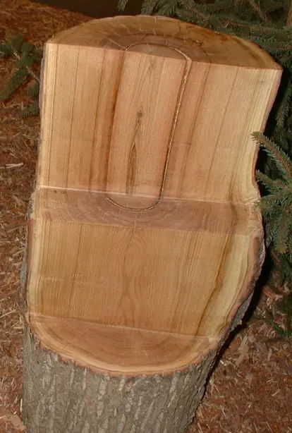 Cook Snap von kochcode-team