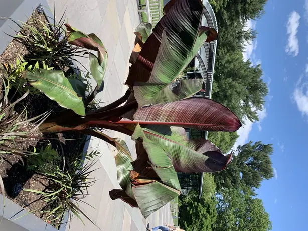 Cook Snap von kochcode-team