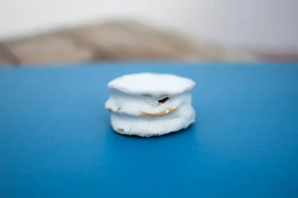 ;erengo alfajores santafesinos Santa Fe Argentina Titi Nicola 27 – Foto: TitiNicola (CC BY-SA 4.0)