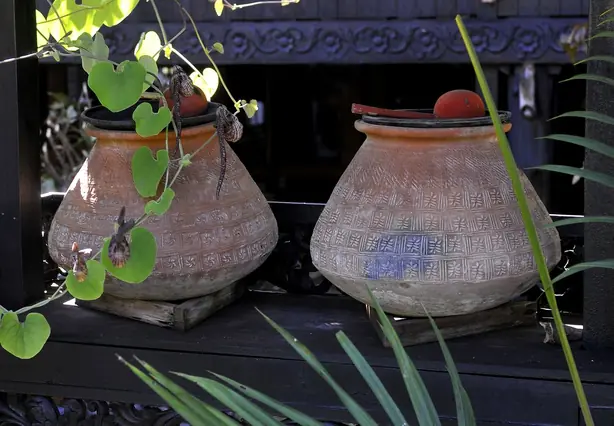 Cook Snap von kochcode-team