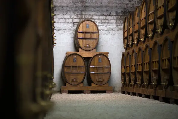 Cook Snap von kochcode-team