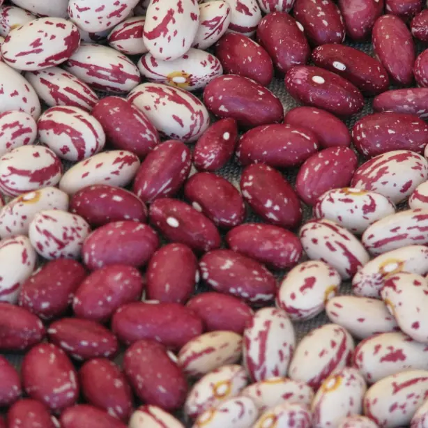 Foto von Italienische Pasta e fagioli klassisch – fertig angerichtet