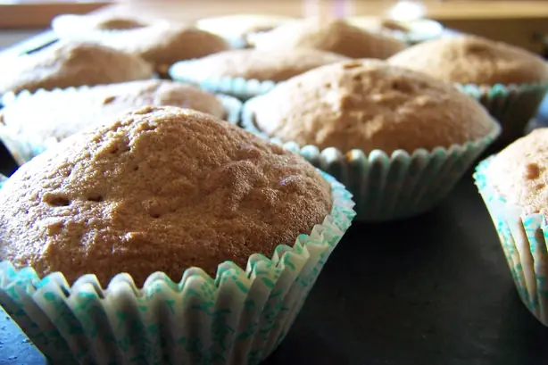 Cook Snap von kochcode-team