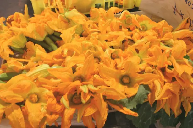 Cook Snap von kochcode-team