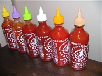 Foto von Thailändische Sriracha-Sauce klassisch – fertig angerichtet