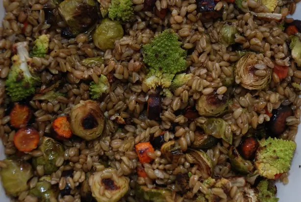 Cook Snap von kochcode-team