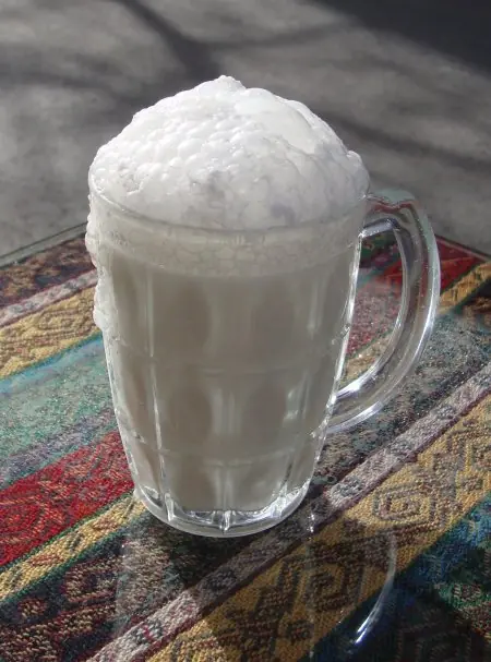 Fresh ayran – Foto: Mavigogun (CC BY-SA 3.0)