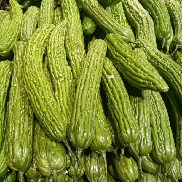 Cook Snap von kochcode-team