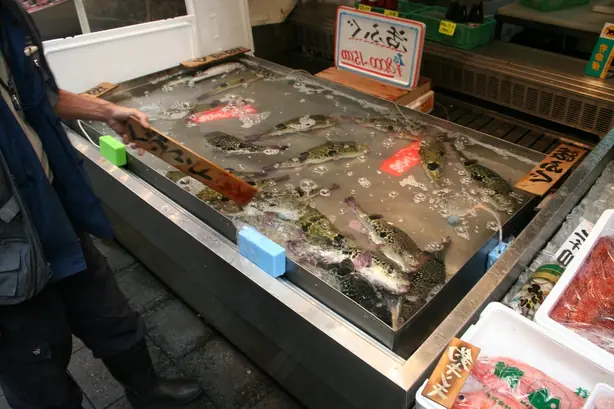 FuguSaleOsaka – Foto: Pangamut (CC BY-SA 3.0)