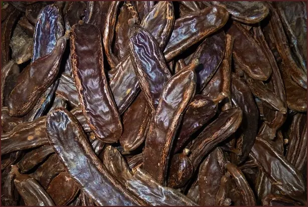 Cook Snap von kochcode-team