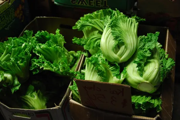 Cook Snap von kochcode-team