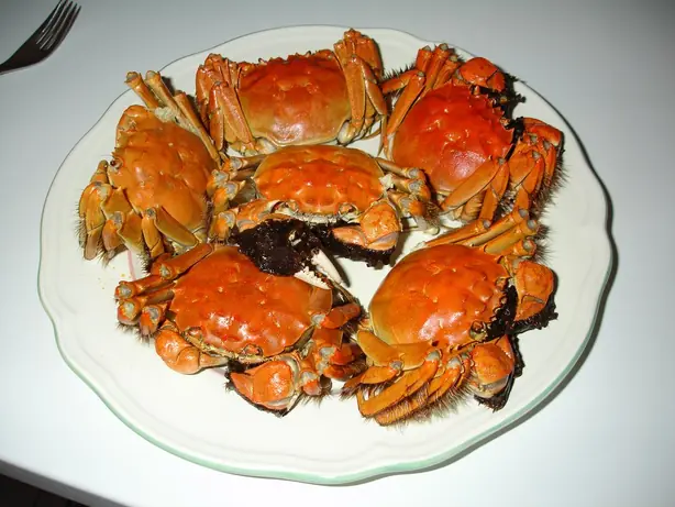 Cook Snap von kochcode-team