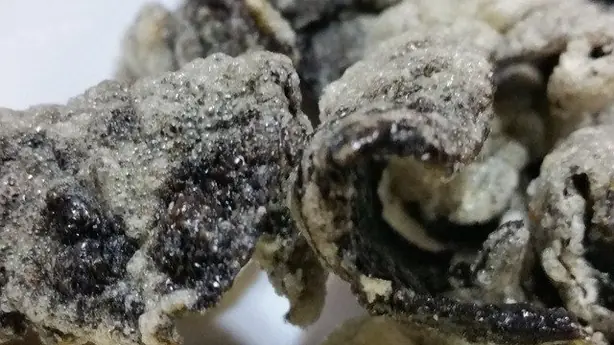 Cook Snap von kochcode-team