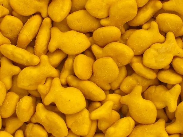 Cook Snap von kochcode-team