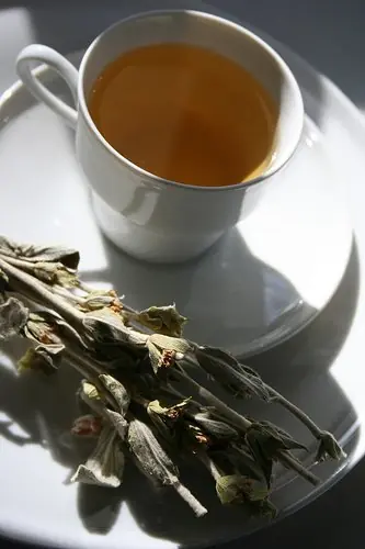 Foto von Griechischer Bergtee klassisch – fertig angerichtet