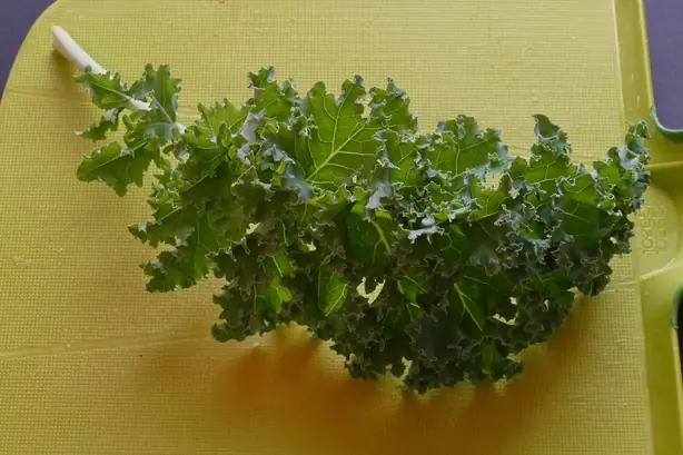 Cook Snap von kochcode-team