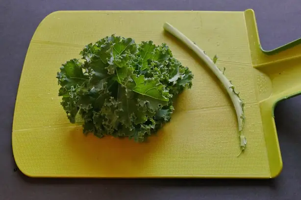 Foto von Klassischer Grünkohl – fertig angerichtet