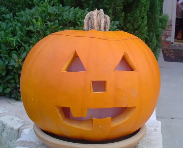 Cook Snap von kochcode-team