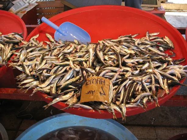 Hamsi – Foto: Original uploader was Citrat a (CC BY-SA 3.0)