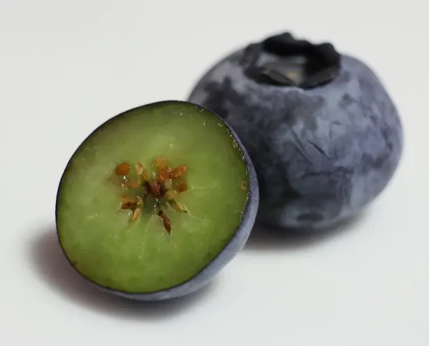 Cook Snap von kochcode-team