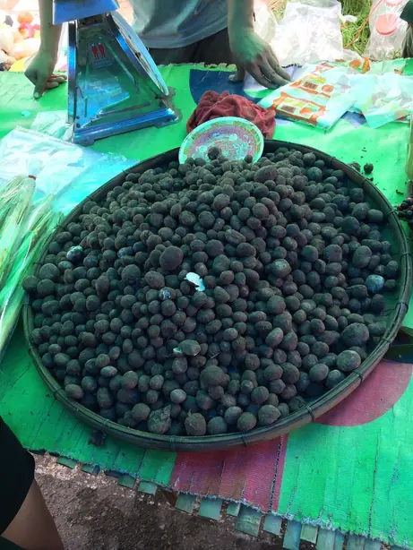 Foto von Thailändisches Het Phor Curry – fertig angerichtet