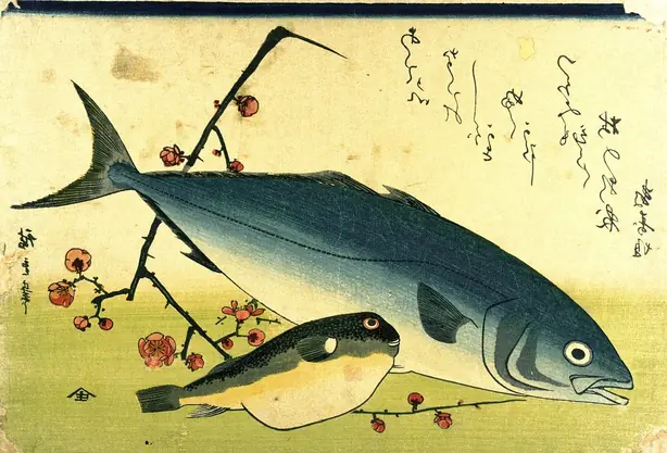 Hiroshige A Shoal of Fishes Fugu Yellowtail – Foto: Utagawa Hiroshige (PUBLIC DOMAIN)